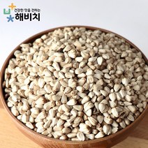 [해비치] 국산 생홍화씨 500g, 단품
