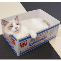 가리가리 냥볼 박스 스크래쳐 평판형, 이사