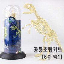 공룡뼈 화석 모형 조립 피규어 장식품 교구 방과후 연구 관찰 과학 수업 실험 학습 초등 돌봄, 스테고사우루스
