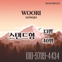 캐리어 스탠드 에어컨 매장용 인버터 시스템 에어컨 23평 냉난방기 (CPV-Q231DA)