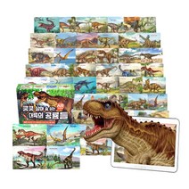 [키움북스] 쿵쿵 살아 숨 쉬는 대륙의 공룡들(AR 증강현실 카드 64종), 단품, 단품