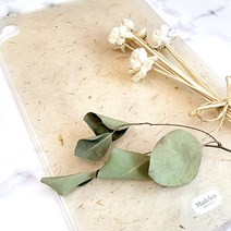 마들린 RPU 한지 항균도마 리프-B02 위생 양면 캠핑 주방용품 주방도구 TPU, one칼라