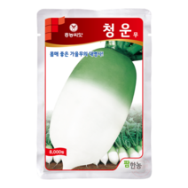 [농사마트] 청운무 2000립 김장무 가을무 팜한농 흥농 씨앗 종자, 1개