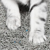 고양이모래 응고형 먼지적은 7L 유향 4L 테비토퍼 라벤더 3개, 활성탄탈취혼합사 3.6KG*1(흡수성44%향상)