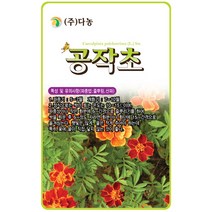 미니 해바라기 2g - 야생화 씨앗 꽃씨 씨 꽃씨앗 해바라기씨앗 해바라기씨 야생화씨 야생화씨앗 꽃 아기곰해바라기 테디베어해바라기, 01_다농_공작초(100립)