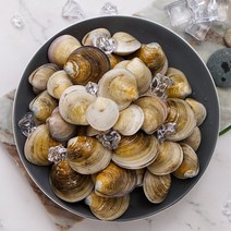 [바지락총각] 해감완료 활모시조개1kg X 3팩, 1kg