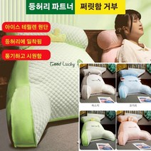 여름 허리 베개대형쿠션 밸런스온방석 소파에 놓을 수 있는 베개 등받이쿠션 허리 컴포트 쿠션, S사이즈 65 X45cm, 에스키모 개(그레이)*1+1