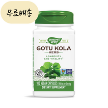 네이처스 웨이 고투콜라 950mg 100캡슐 병풀추출물, 100정