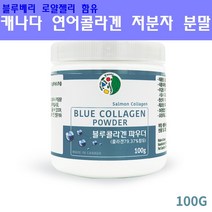 캐나다 저분자 피쉬콜라겐 펩타이드 먹는 어류 생선콜라겐 어린콜라겐 초저분자 절대 가수분해 효소분해 명태껍질 연어콜라겐 가루 분말 파우더 비타민C 블루베리 로얄젤리 이너뷰티 복용법 추천 효능, 1통, 100g
