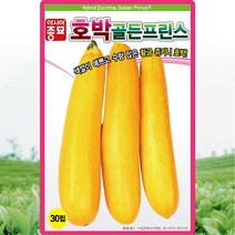 골든프린스 호박 씨앗 호박 씨 종자 30립
