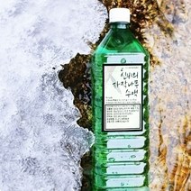 지리산 자작나무 수액, 자작나무 수액(냉동) 1.5L x 6개