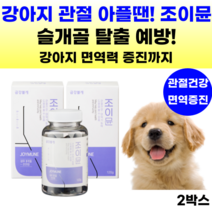강아지 영양제 관절 조인트 슬개골탈구 애견 강아지 면역 관절영양제 글루코사민 콘드로이친 관절건강 반려견 노견 슬개골 강아지관절영양제 보스웰리아 초록잎홍합 MSM 칼슘 사은품 증정, 뼈/관절강화, 2통, 연어맛
