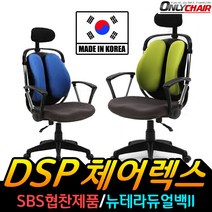 DSP 뉴테라듀얼백ii 의자 학생의자 책상의자 컴퓨터의자 사무용의자 사무실의자, 뉴테라듀얼백ii_블루