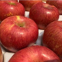 옛뜰애 문경 참스 사과 고당도 맛있는 정품 부사 5kg 10kg, 1개, 11. 정품 중과 5kg