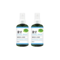 더허브샵 쿨샷 스프레이 페퍼민트향, 100ml, 2개