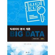 빅데이터 분석 개론, 보리별
