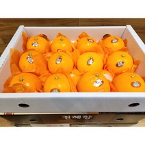 제주 선물용 프리미엄 천혜향(특품)!!!, (12~13과) 찐맛 제주 천혜향(특품), 3) 3kg 미만
