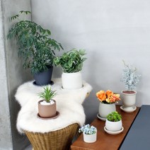 국산 고급 수제 토분 뜨레몽 테라코타 인테리어 화분 도자기화분 세라믹화분, c 우유병 화분, 3. 그레이