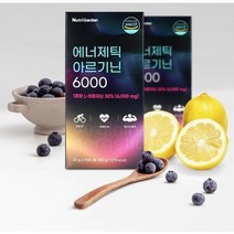 기력보충 남성기력회복 명절선물 원기회복 남성호르몬보충제 아르기닌 아르지닌 15포