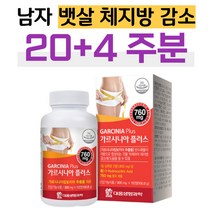 가르시니아 남자 다이어트 보조제 뱃살 체지방 감소 똥배 턱살 복부지방 피하지방 내장지방 살 빼는법 50대 40대 남성 급찐살 탄수화물 지방 합성 억제
