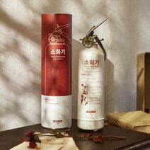 세이프티랩 세이브 분말 소화기 1KG, 1개