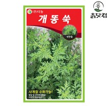 개똥쑥 씨앗 1만립 사계절 수확 항암 면연력 강화 + 네임택, 단품