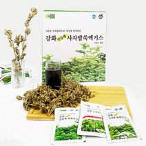 강화약초 강화사자발쑥 진액 건강즙 100ml 60개 민들레포함 1박스, 60팩