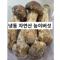 냉동 자연산 능이버섯 300g 500g 능이 버섯 백숙재료 향진한 버섯 선물용 국내산 국산버섯