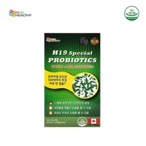 기타 프로바이오틱스 H19 캐나다 500억 유산균 60캡슐 x 2박스 (4개월분)