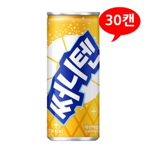 써니텐 파인애플 250mL X 30캔