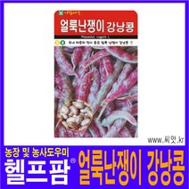 헬프팜 얼룩난쟁이 강낭콩 30g 씨앗 아람종묘 종자