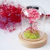 프리저브드 감사의 표현 카네이션 유리돔 무드등, S-체리레드