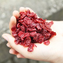 산수유 효능 건 말린 차 구례 먹는법 500g, 1개