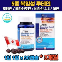 (식약처인증) 3개월분 캐나다 대용량 루테인 루태인 누테인 뉴테인 류태인 베타카로틴 비타민A 빌베리 비베리 황반색소 눈 노화 뻐근 침침 관리 뻑뻑 건조 50대 60대 70대 부모님
