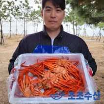 [산지직송] 울진 후포리 자숙박달홍게 3kg (8-10미) 당일조업 수율보장 자숙홍게 박달홍게 붉은대게 포항홍게 홍게찜, 박달홍게 3kg (8~10마리/자숙), 1개