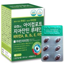 유한 지아잔틴루테인 500mg 48캡슐 눈건강 눈영양제 비타민A B E 아연, 1박스