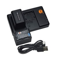 2X NPFV70 배터리용 DSTE 교체 마이크로 USB 케이블 호환 FDRAX40 DCRSR21 SX83E FDRAX100 HDRCX380 CX430V HC9 PJ790V TD1