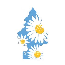 리틀트리 방향제 (데이지필드) 차량용 방향제 종이방향제 미국산, 10개