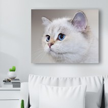 귀여운 고양이 사진 캔버스액자 (고객님 야옹이 사진으로도 제작 가능합니다), CAT11