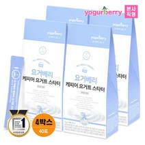 요거베리 케피어 스타터 티벳버섯 효모 유산균 40포, 단품