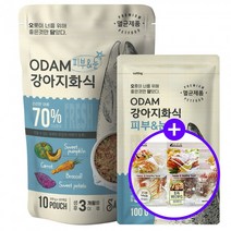 오담 강아지화식 그레인프리 홀리스틱 기능성사료 피부 눈건강 연어 1kg 300g 간식 2개증정