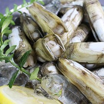 친환경팔도 [산지직송] 남해안 맛조개 1kg, 단품