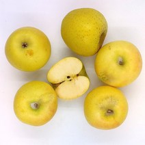 [더조은푸드] 황금사과 시나노골드 가정용 5kg (과수선택), 가정용 5kg 25-28과