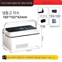 의료용 아이스박스 쿨러 소형 휴대용 냉장고 충전식, B