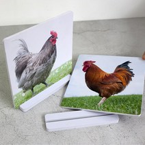 꾸밈데코_테이블액자2P풍수동물닭액자(te785)_데스크액자세우는액자스탠드장식디자인액자