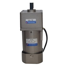 속도조절 모터 220v 감속기 소형 웜기어 + 컨트롤러, A.6W, A.속도 조절 모터  거버너, J.41rpm/비율 36K