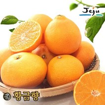 올찬 [올찬] 황금향 5kg 23~30과 (대/중), 1