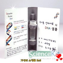 어린이 사이언스 과학 키트 DNA추출 (4인용)