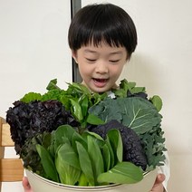 귀농한황씨 양평 산지 모듬 쌈채소 500g 7종, 1개