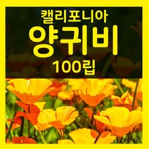 꽃씨몰 꽃씨 봄 파종 여름꽃씨 가을 노지월동 다년생 야생화 양귀비 종자 꽃씨앗, 2.캘리포니아양귀비 100립(1~2년생)